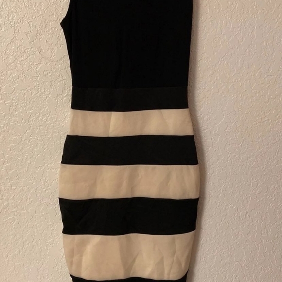 NWT Windsor Dress size M - Picture 3 of 8